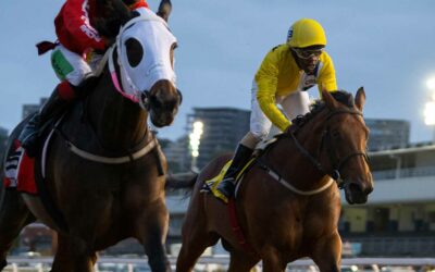 South Africa launches GLOBAL HORSE RACING SERIES